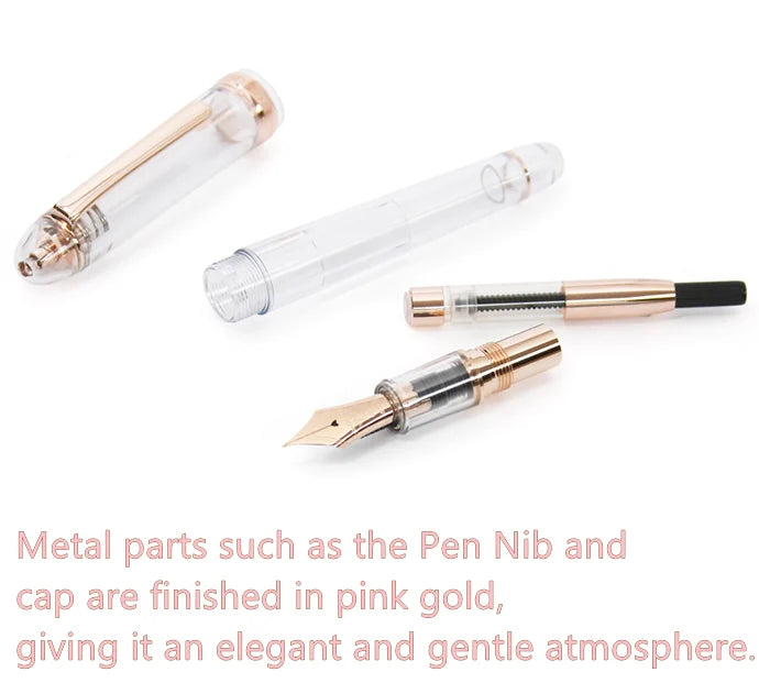 NAGASAWA * PLATINUM 3776 PINK GOLD SPECIAL EDITION FOUNTAIN PEN