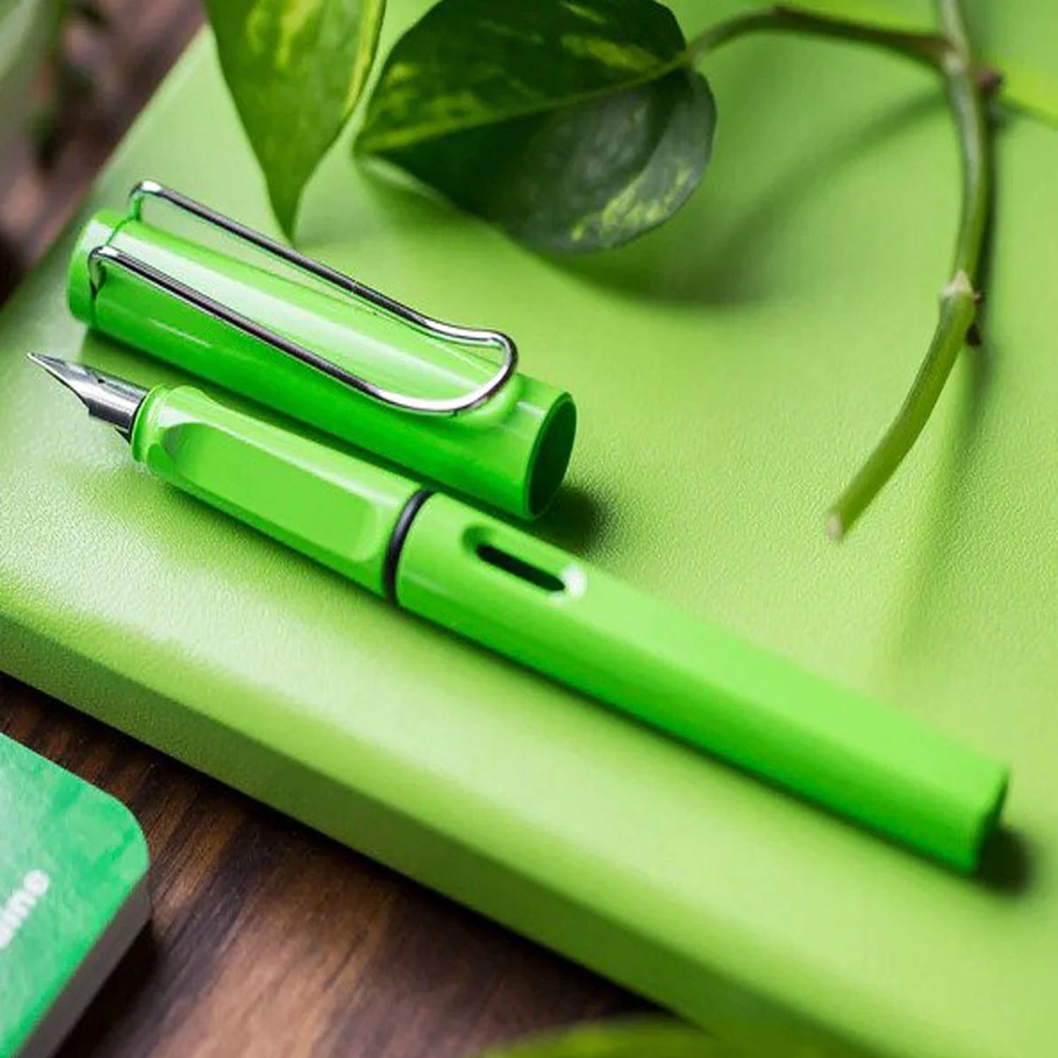 Lamy Safari Fountain Pen PEN PLANET
