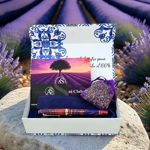 Armando Simoni Club Dreams Of Provence France Bespoke 2025 Fountain pen