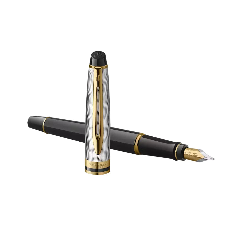 Waterman Expert Reflections of Paris Special Edition Gold Trim Fountain Pen