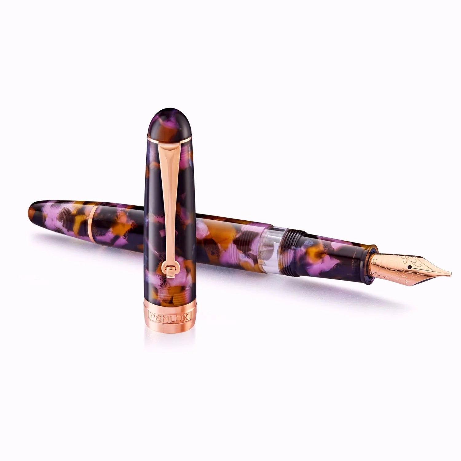 Penlux Masterpiece Delgado Euploea RGT Fountain Pen