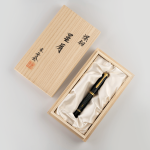 Pelikan Souverän M1000 Raden Stardust LE Fountain pen PEN PLANET