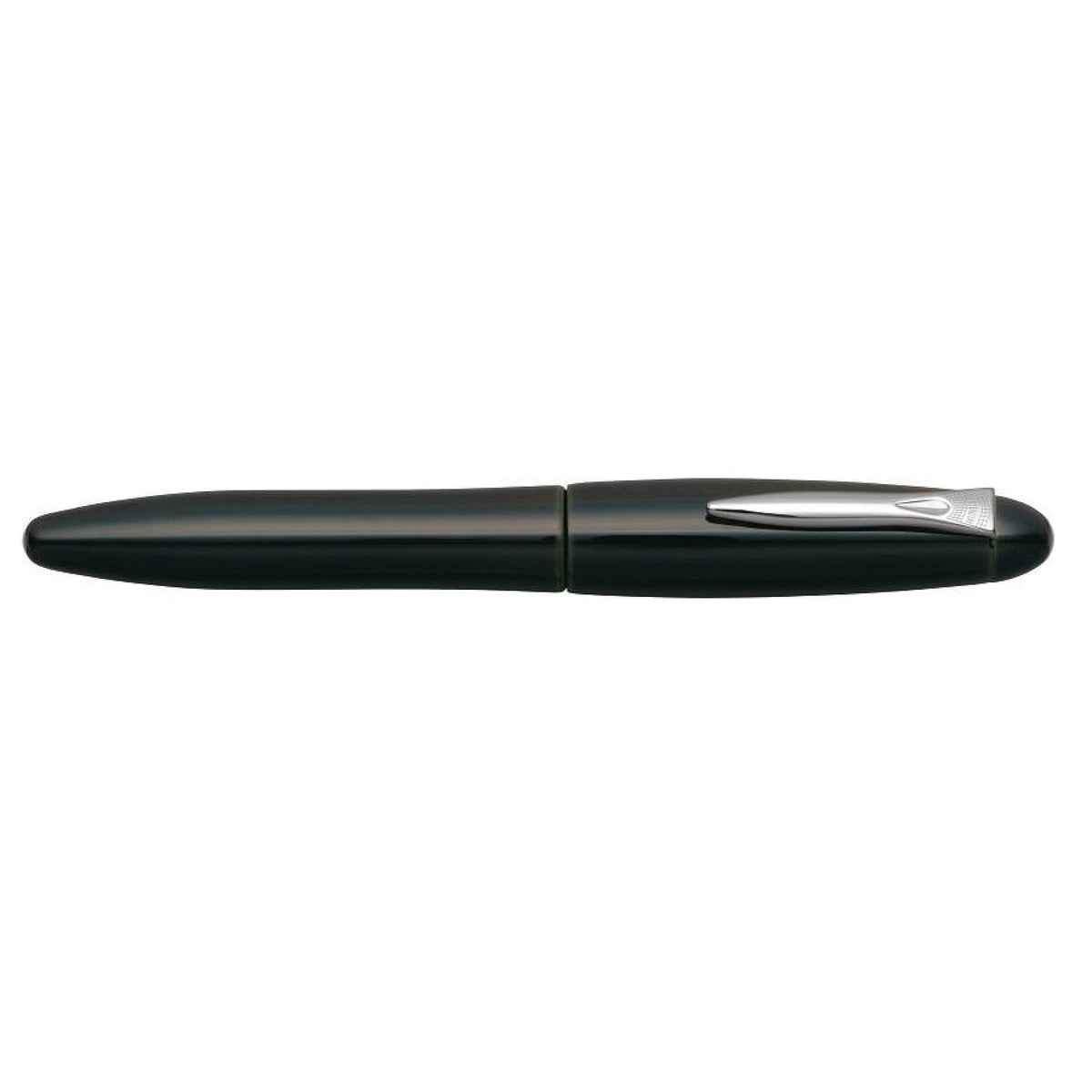 Platinum Izumo Soratame ST Fountain pen