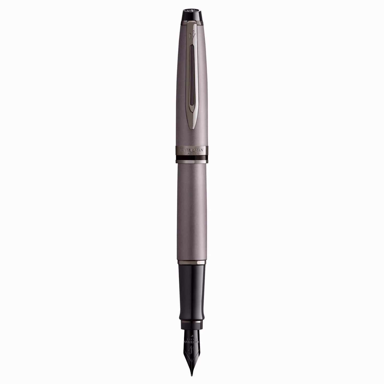 Waterman Expert Metallic Silver RT Fountain Pen
