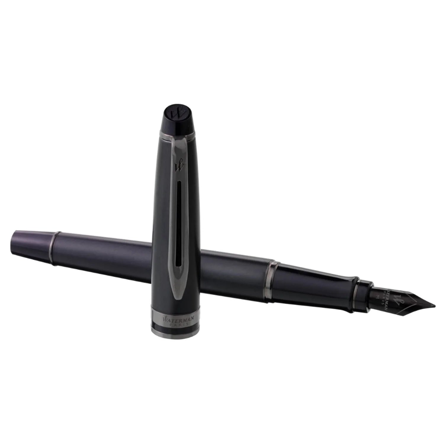 Waterman Expert Metallic Black RT Fountain Pen (Special Edition)