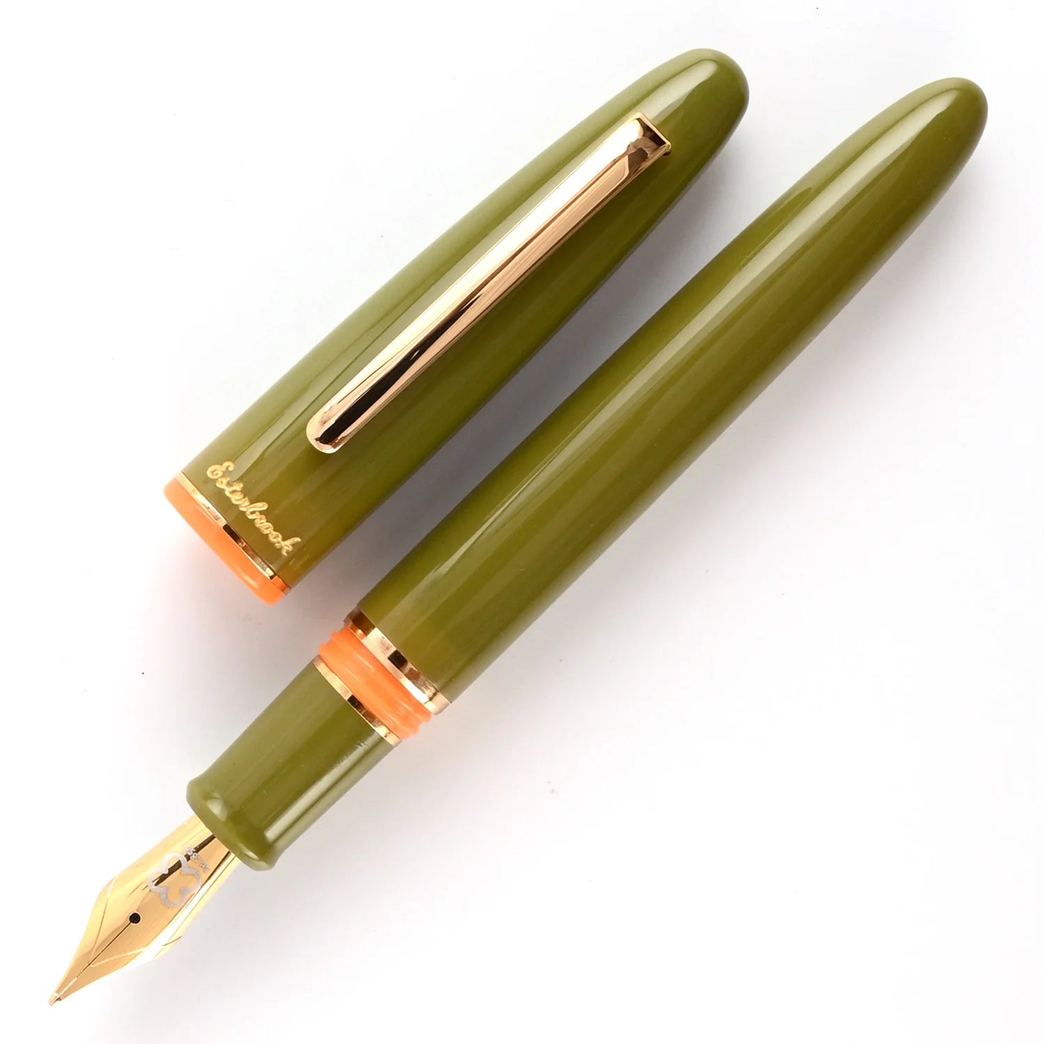 Esterbrook Back to the Land Estie Fountain Pen - Quirky Leaf GT 