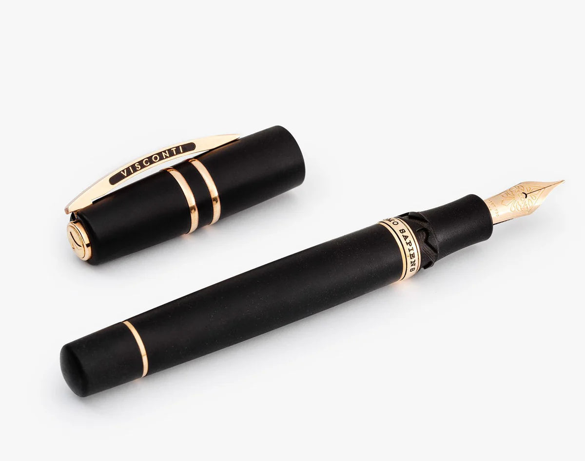 Visconti Homo Sapiens Bronze fountain pen 14 kt Nibd