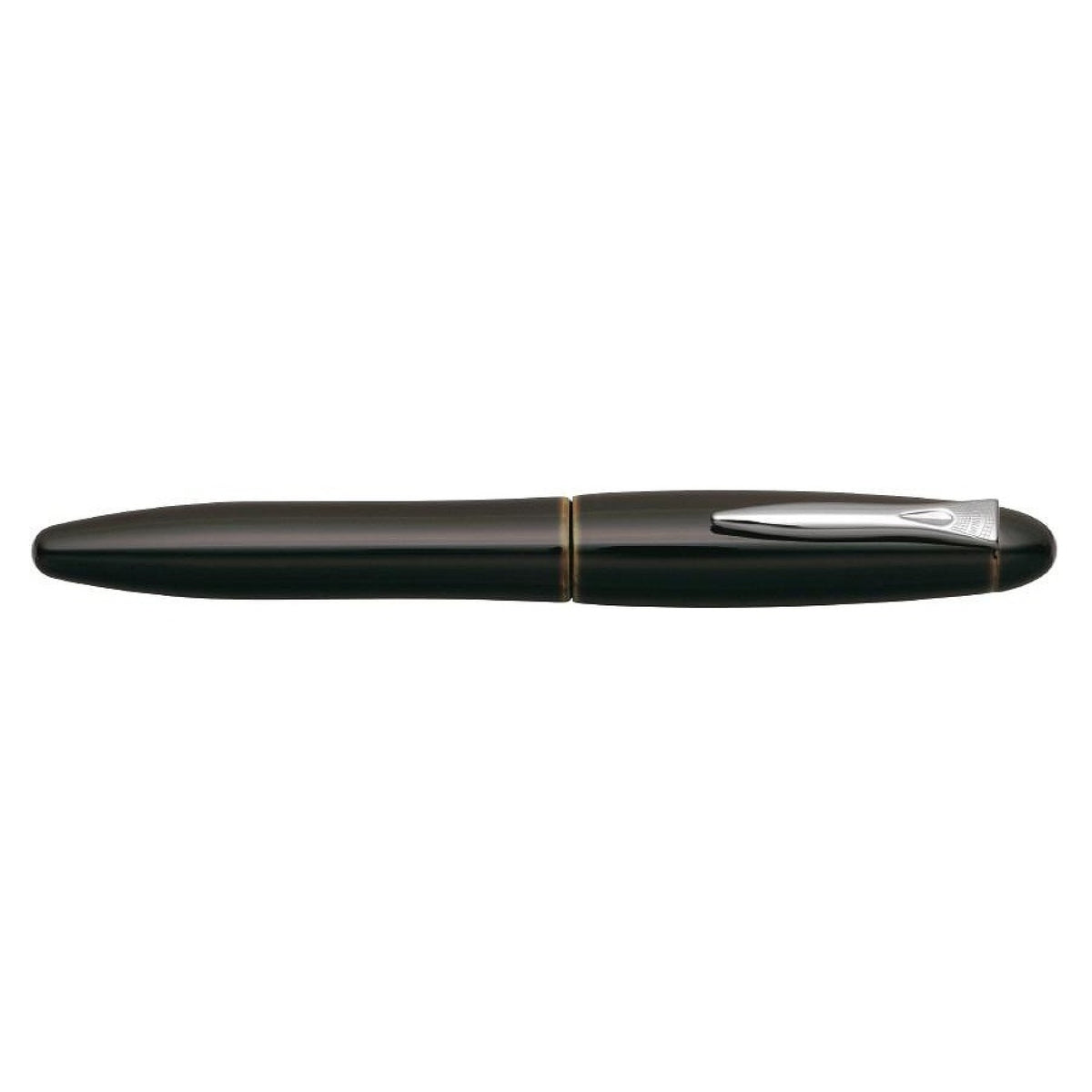 Platinum Izumo Biwatame ST Fountain pen